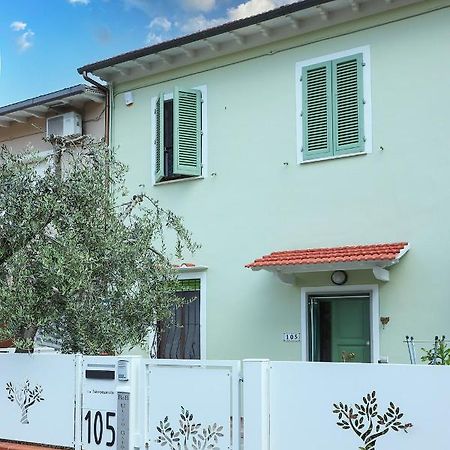 B&B Ulivo Gaio San Miniato Exterior photo